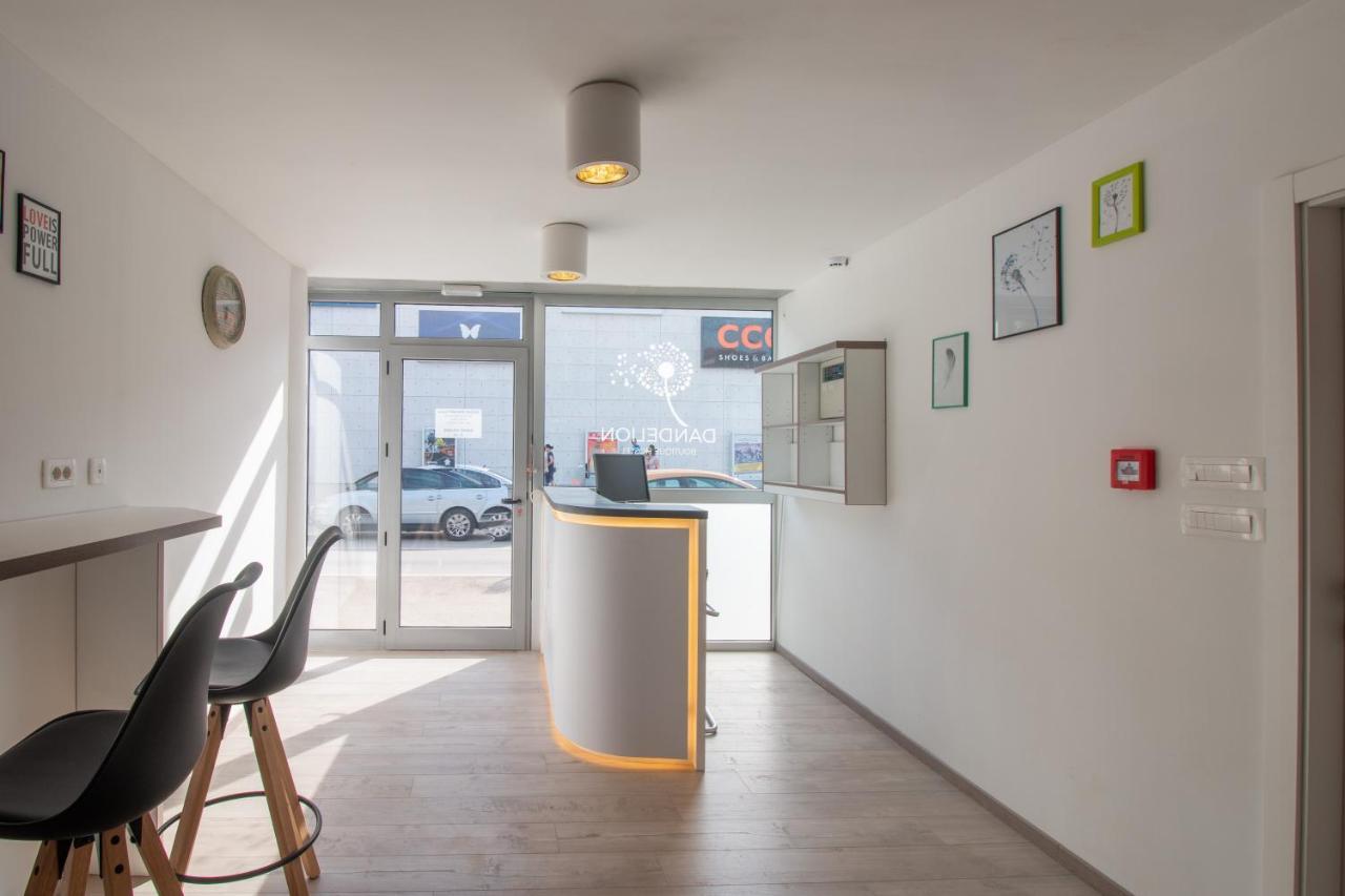 Auberge de jeunesse Dandelion *